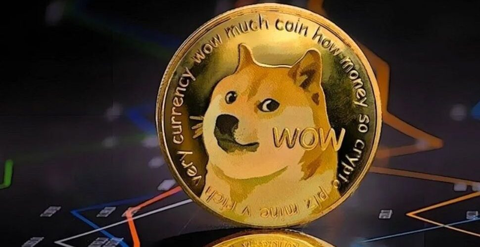 Dogecoin's Remarkable Surge: Large Transaction Volume Spikes 41% as Network Activity Intensifies